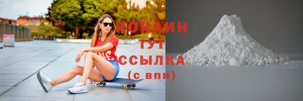 стаф Бикин