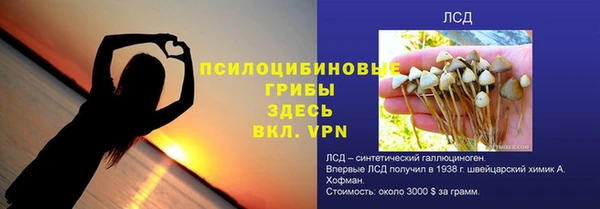 сатива Нязепетровск