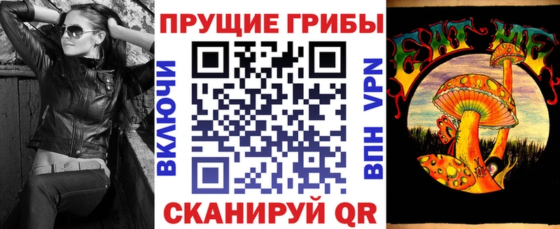 Галлюциногенные грибы Psilocybine cubensis  где купить наркоту  Тихвин 